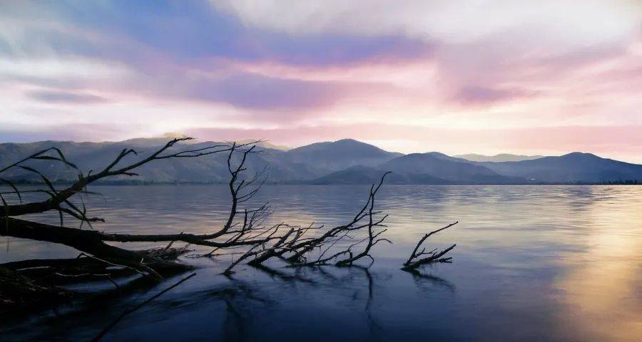 线上网店还能卖货但家电实体店却直接躺平-家电圈官网