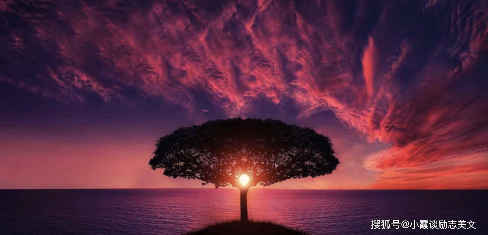 独立自主又极其难以捉摸的星座,习惯独来独往,从不看别人脸色_生活