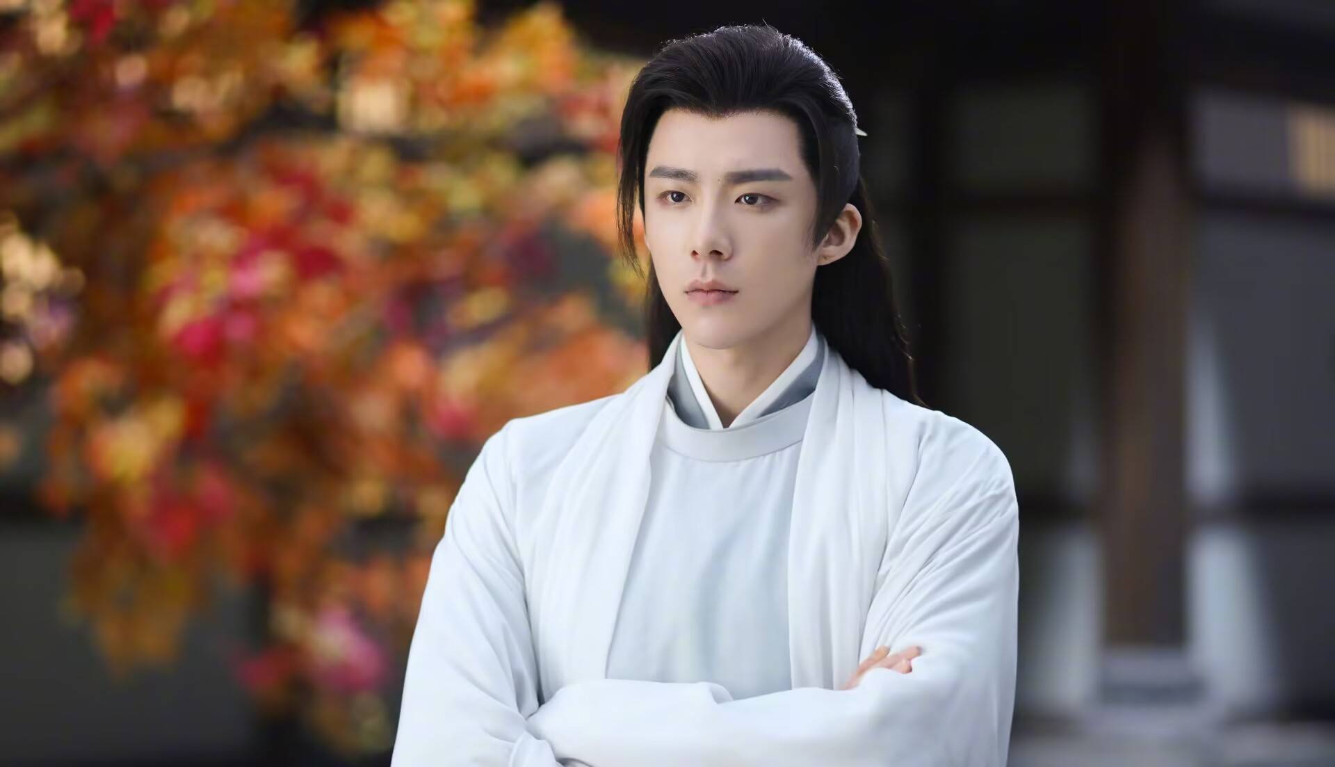 首搭杨幂人气拉满,《踏歌行》提上日程_观众_赵又廷_作品