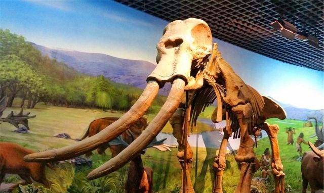 1980年专家考古发现,甘肃平凉传说中,女娲用象腿一事可能是真的_天地