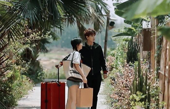 《向往4》任嘉伦变话痨,刚来节目就开怼谭松韵,国超文集升级了_批评