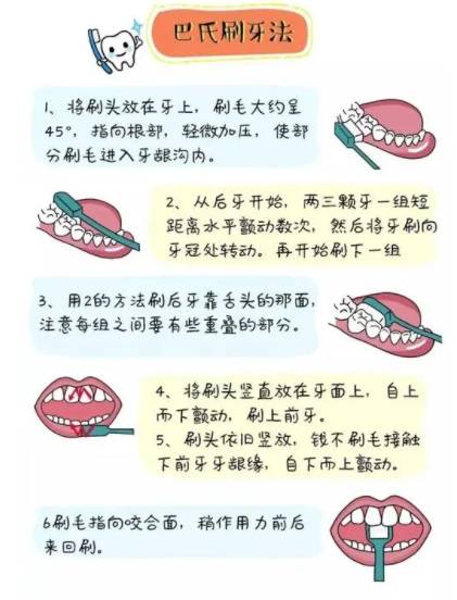 上齿背位置图图片