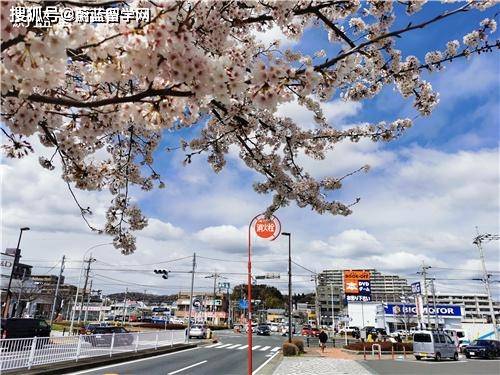 東京外國語大學研究生留學申請條件是什麼?|蔚藍留學_日本_語言_材料