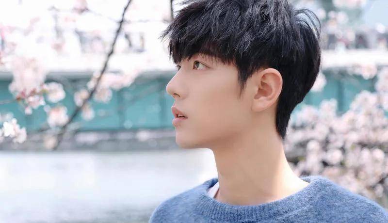 没有什么颜值靠流量吃饭的小鲜肉时,2019年一部《陈情令》让许多人对