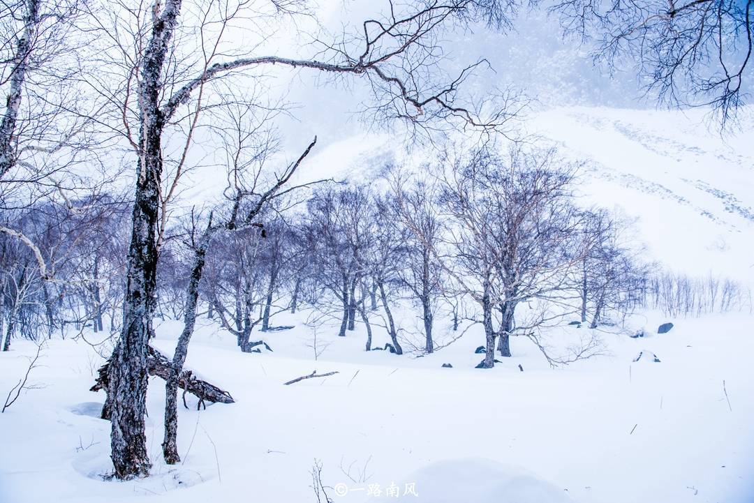 十五首關於初雪的古詩詞,不見早梅寧對酒,為憐初雪