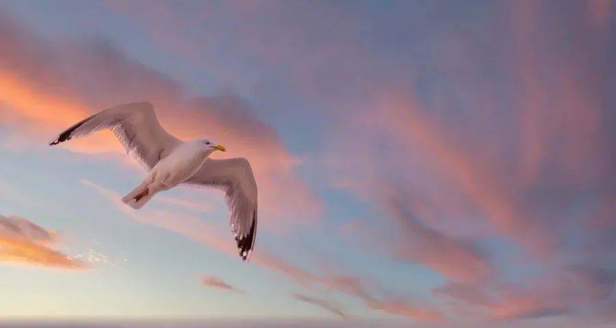 当前家电消费市场商战的几点真相-家电圈官网