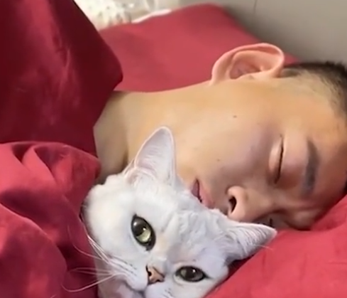 福建一丈夫新婚夜不停亲吻猫咪还搂它睡，新娘直呼：你是娶它了？
