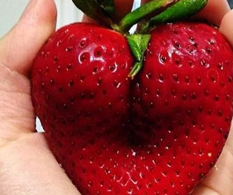 看起来没什么特别的,再仔细一看,这鸡爪的手势确实有点可爱呢,这个