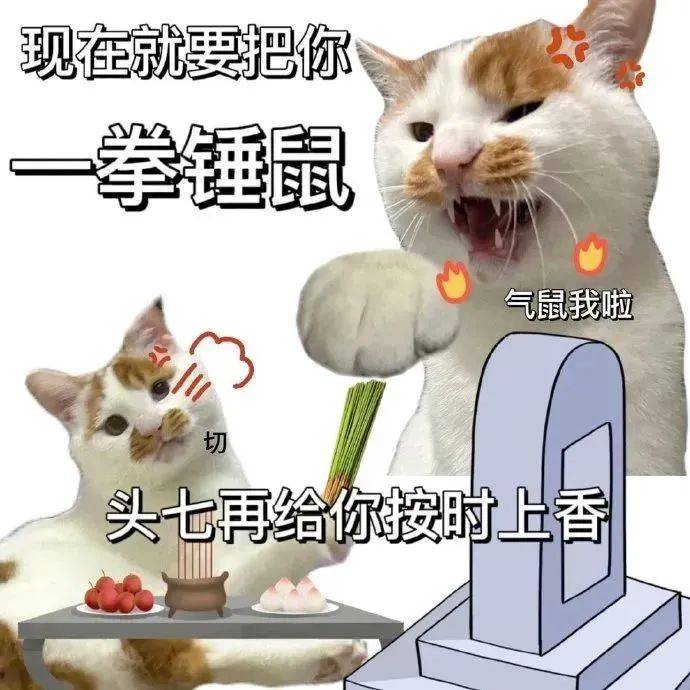 女子寻猫,坠井失踪48小时,结果猫自己跑回家了,网友:爱猫是认真的…… 女子寻猫,坠井失踪48小时,结果猫自己跑回家了,网友:爱猫是认真的……