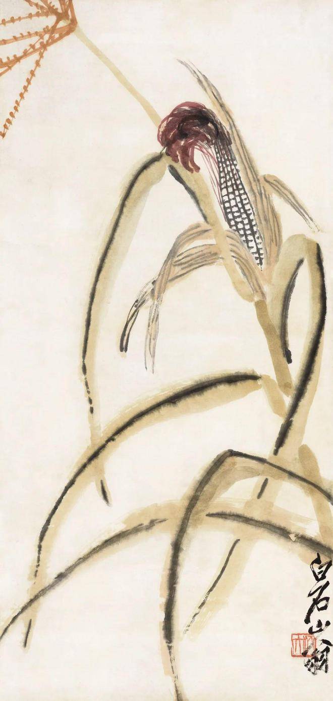 如何鉴定送拍齐白石的玉米图,齐白石传人齐良芷弟子汤发周说,先看玉米