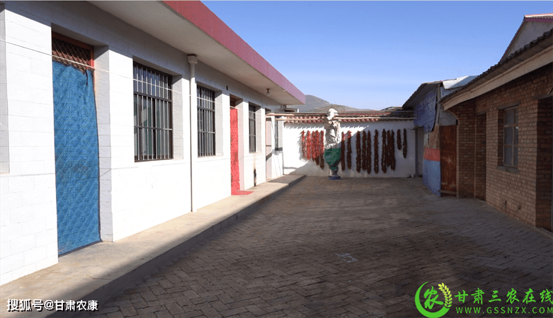 静宁县威戎镇武高村:户厕改造 美了乡村乐了农户_农村_能源建设_低碳