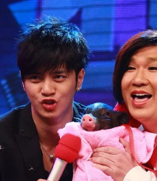 小可爱再介绍另一位养猪明星请先别急着下手如果你也正有此意井柏然家