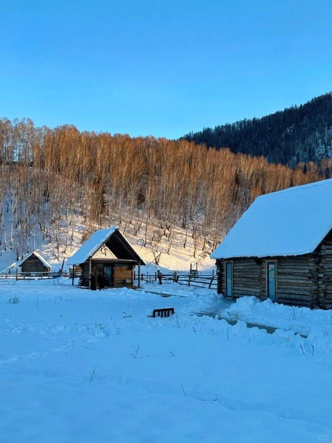 【丰草牧场】冬天,总得去新疆阿勒泰看一场大雪吧!_雪地_滑雪_自然