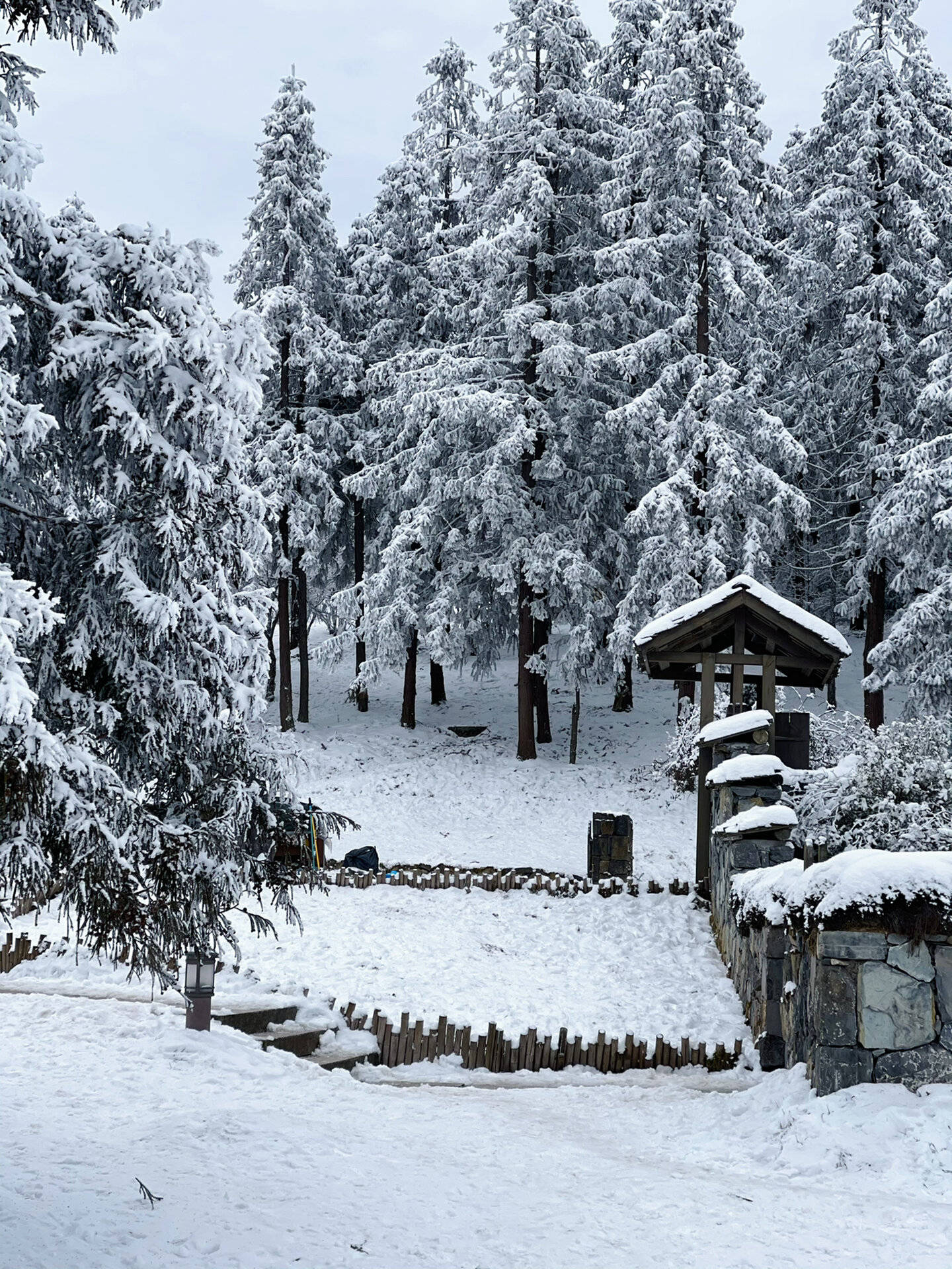 下雪️后的仙女山也太美了吧️