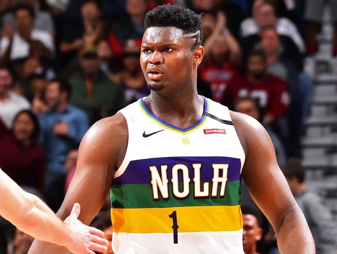 威廉森_问题_职业