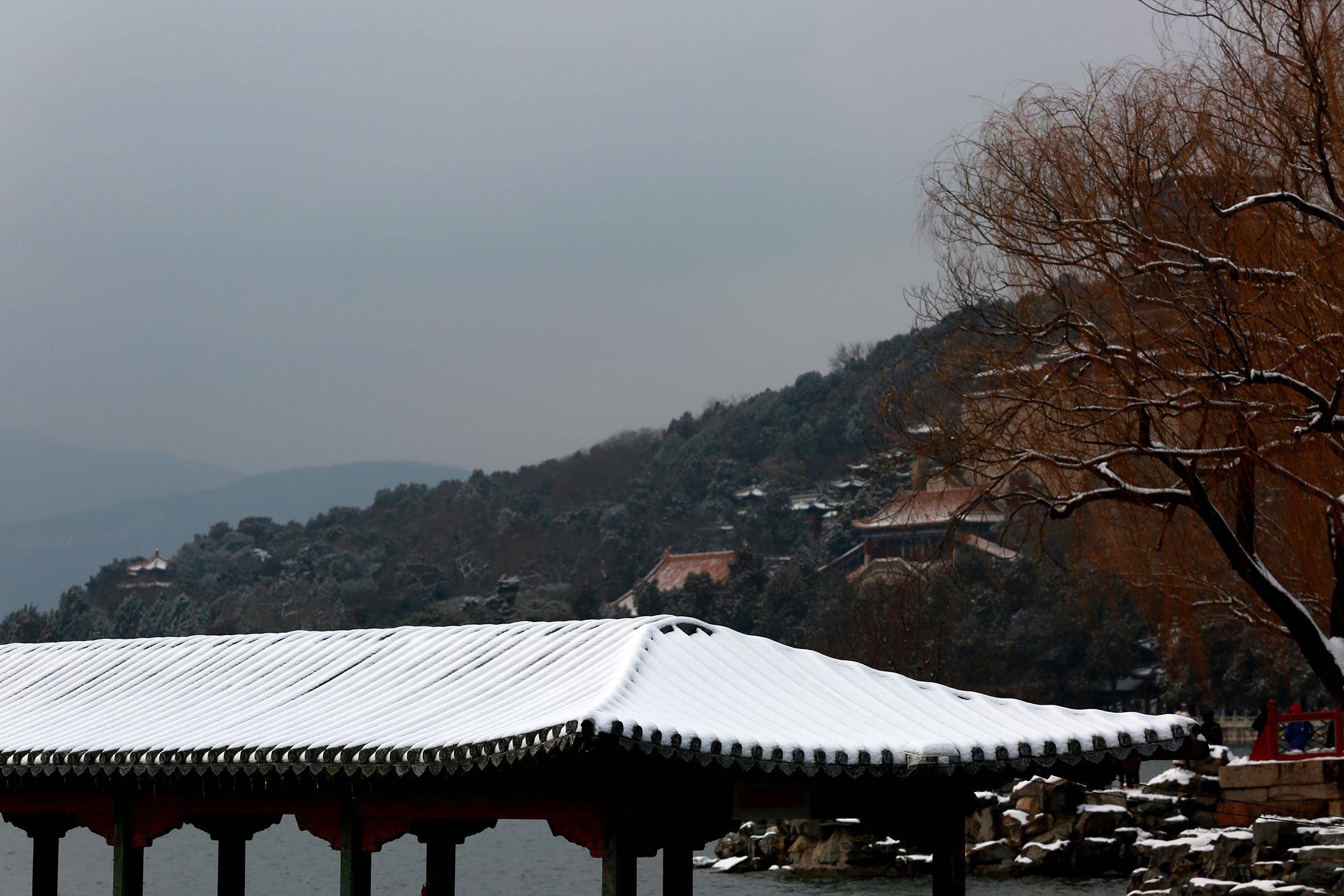 今天颐和园雪景图片