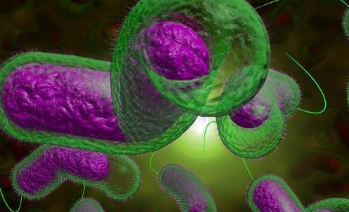 不管男女,平时多吃这种"草",可能"癌细胞"对你避之不及_韭菜_眼睛