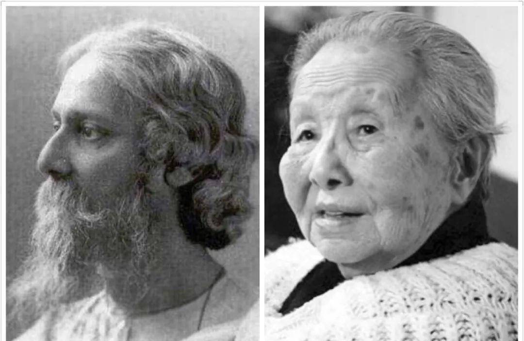 本无深交,鲁迅为何讨厌冰心?