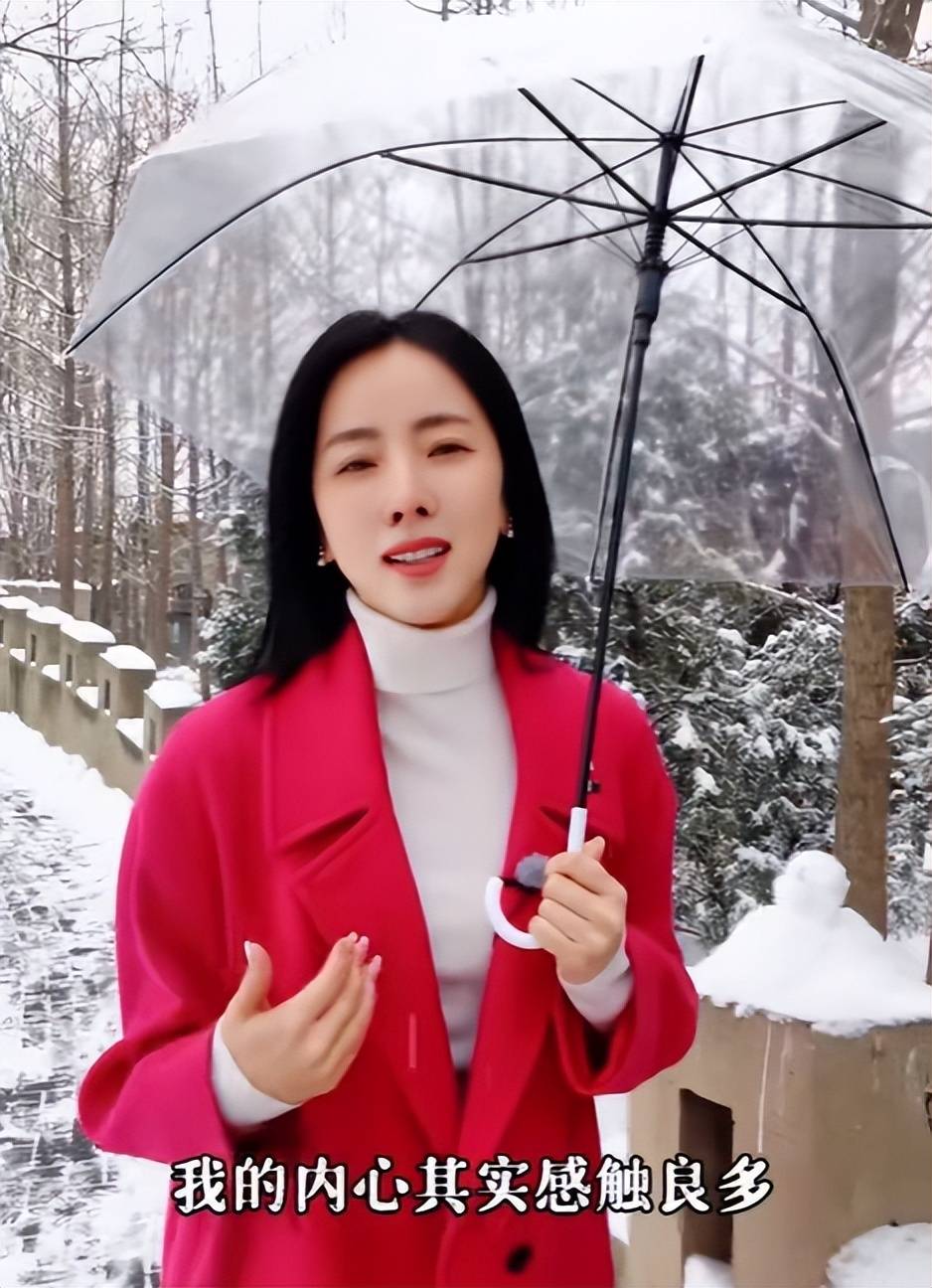 李思思:离职央视66天后,一边力挺撒贝宁一边点赞《开讲啦》节目