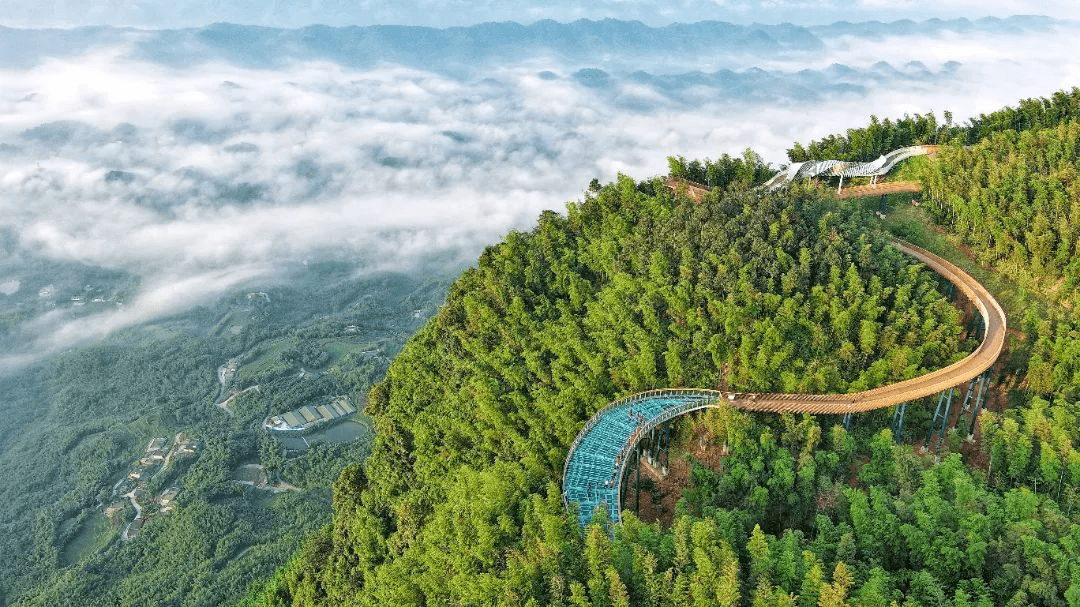 蜀南竹海,高桥竹村,龙头山竹生态文化主题公园,长江竹岛,永江竹村