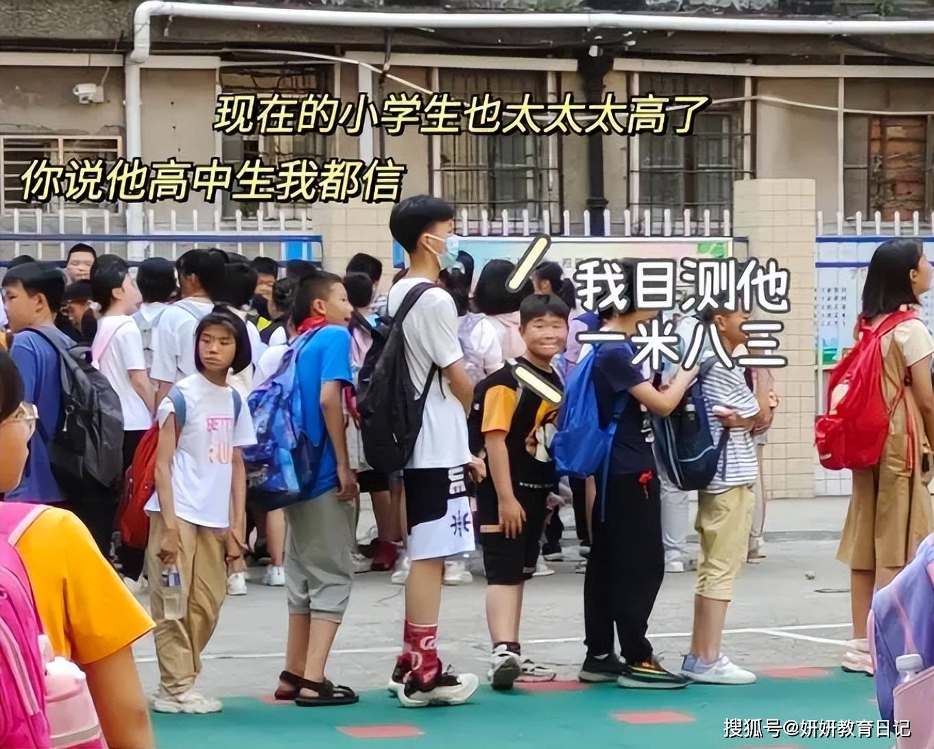 12岁小学生 