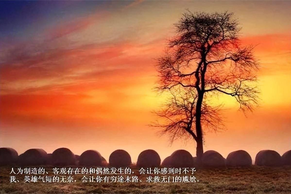 人生低谷期,处理好这两点,也许会逆境翻盘_时候_顺境_问题