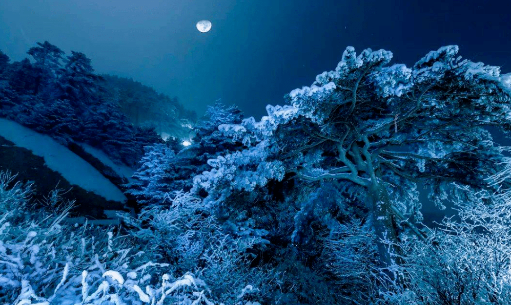 雪夜图片唯美高清图片