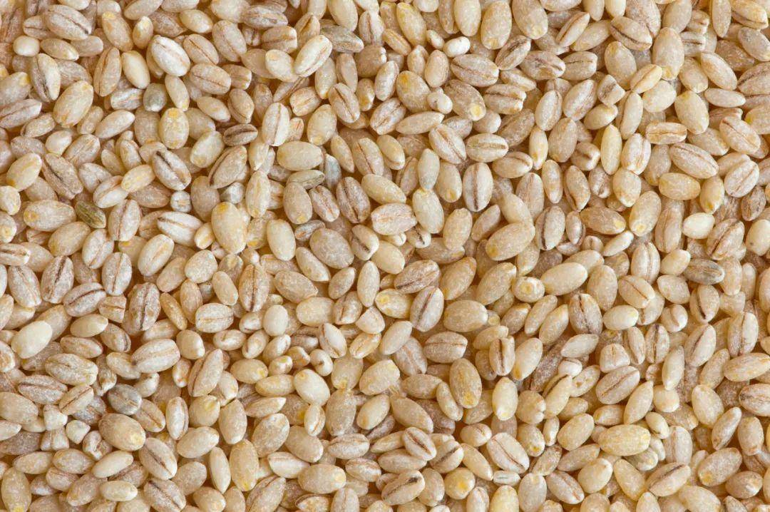 青稞_含量_食物