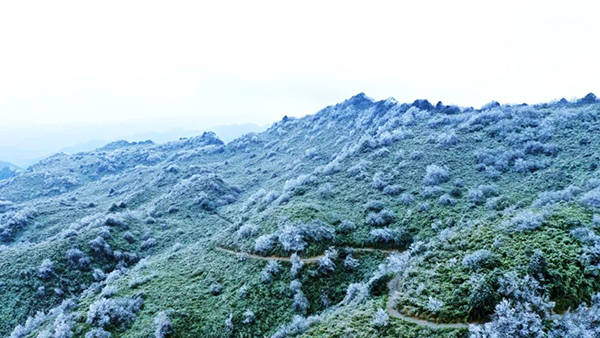 今冬初雪已在泸州降下,罗汉林冰雪浪漫上线!_奇观_枝头_屋檐