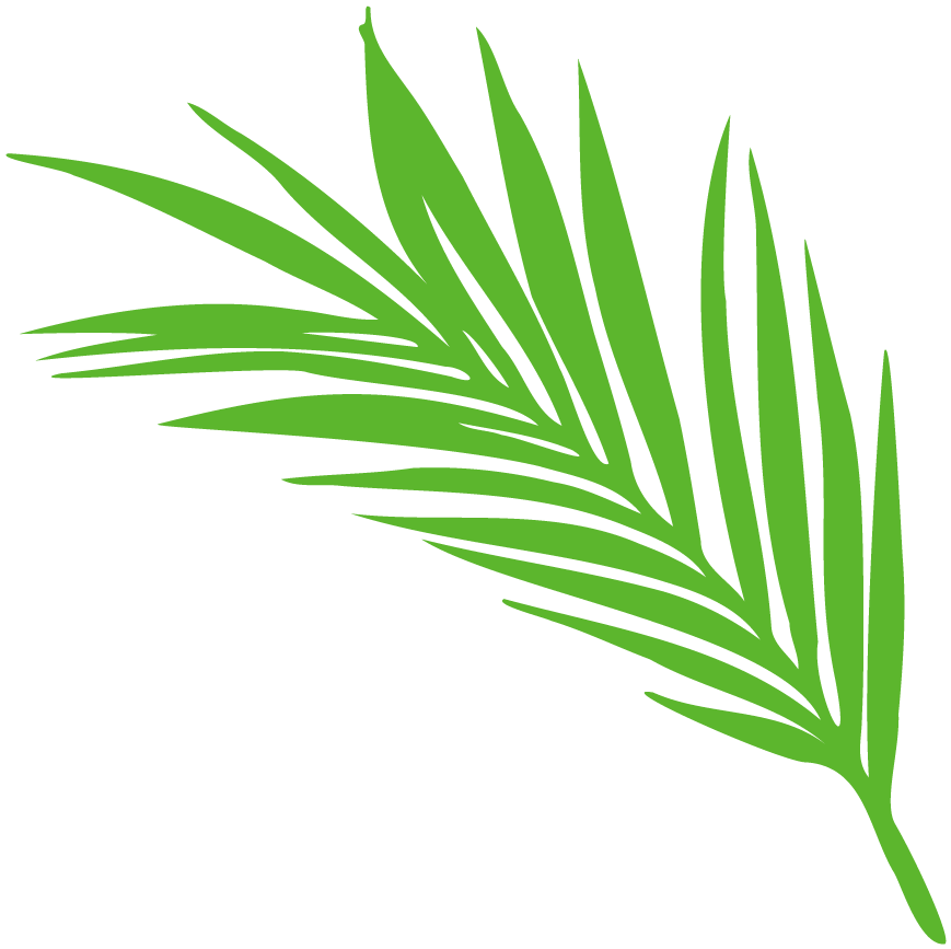 泰师附小东阳分校四年级开展"创意读书卡,笔尖绘书香"活动_记录卡