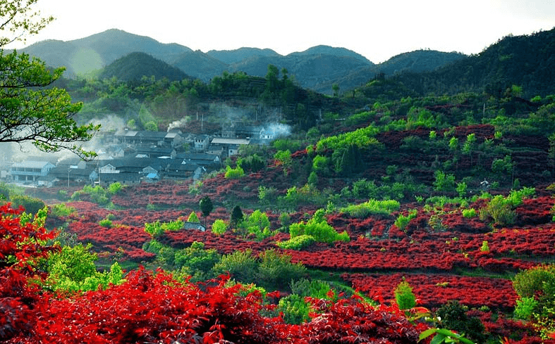 余姚龙泉山景点图片