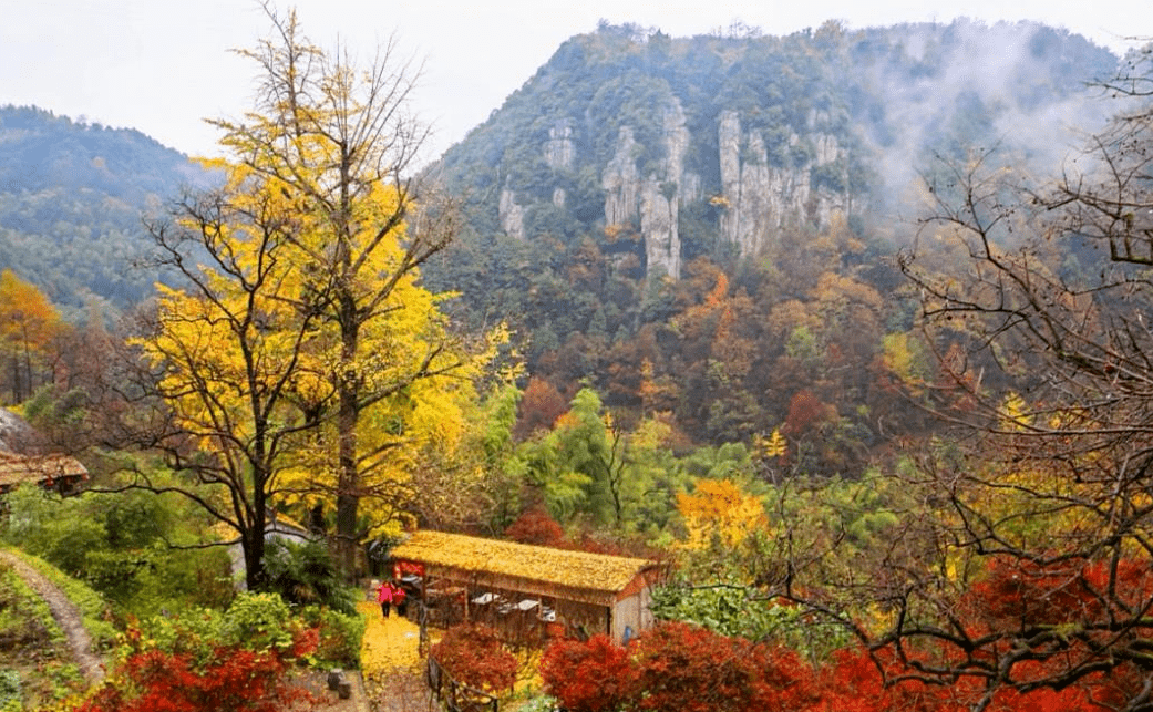 余姚龙泉山景点图片