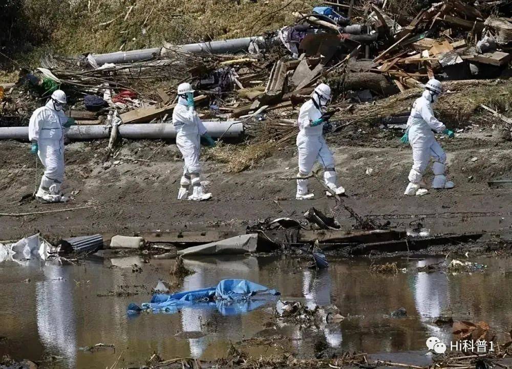 日本离奇死鱼多到渔船寸步难行，官员称与核污染水无关