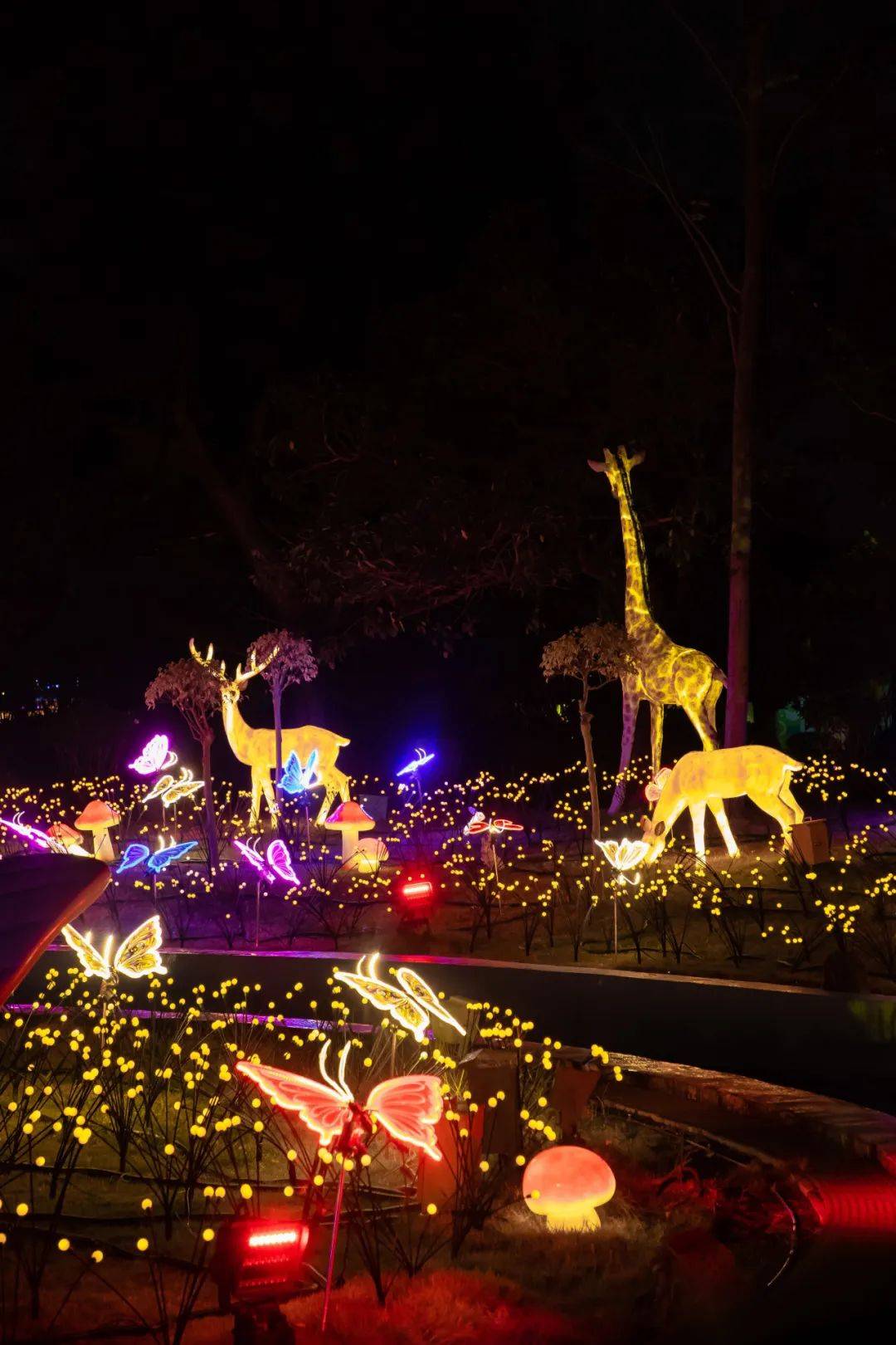 「花海冲浪岛」" 星光岛 "来到梦幻花园,草丛中布满了萤火虫和小蜜蜂