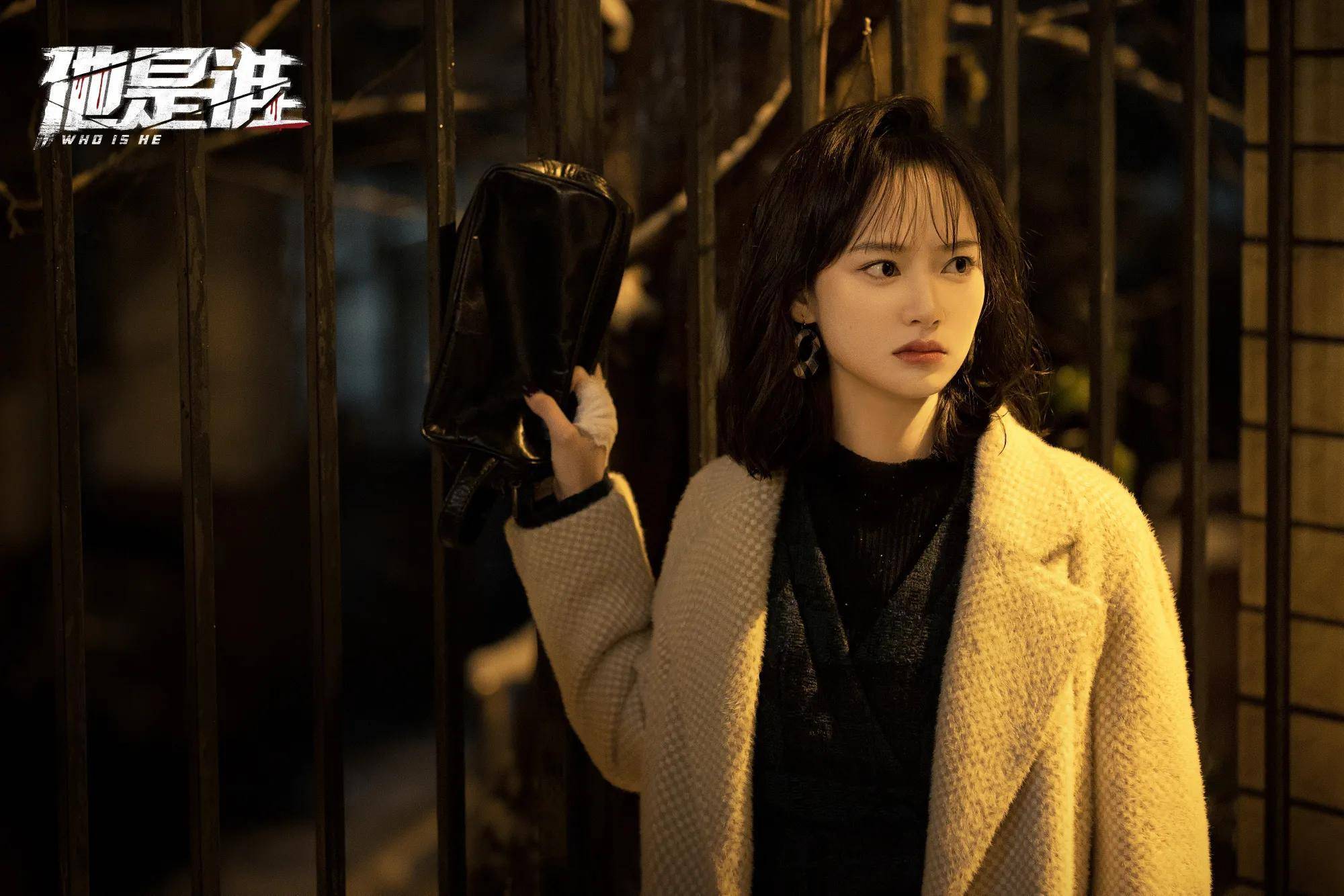 《他是谁》大结局是否烂尾,聂小雨竟成为破获88案的关键_凶手_卫国