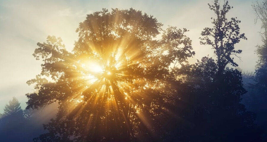 海尔华为领跑消费品牌化，格力长虹巨变海信康佳TCL九阳破圈-家电圈官网