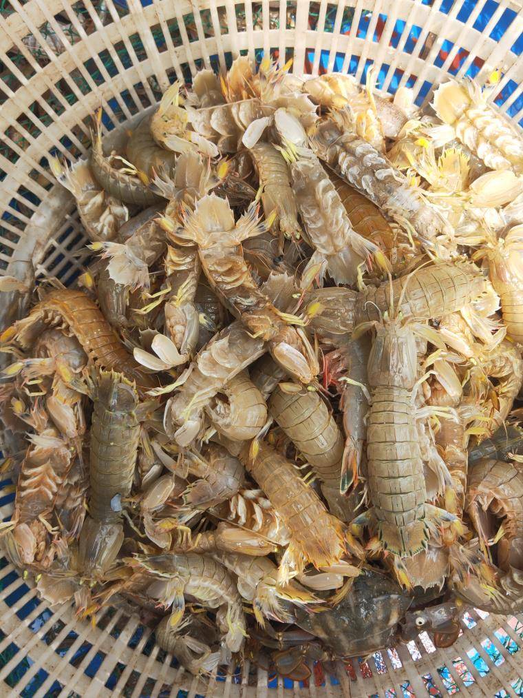 周边游玩:黄骅港金沙滩,贝壳湖,渤海湾,南大港湿地.
