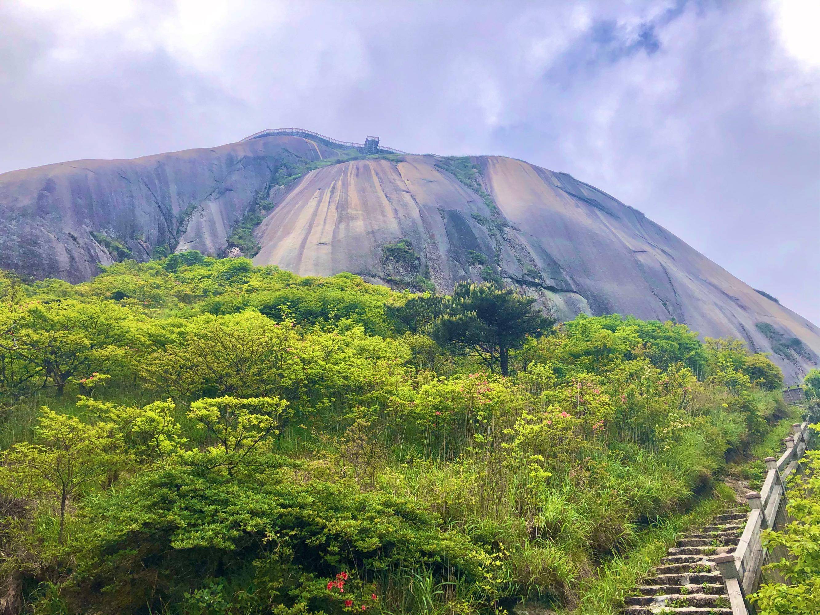 柳泉饶山图片