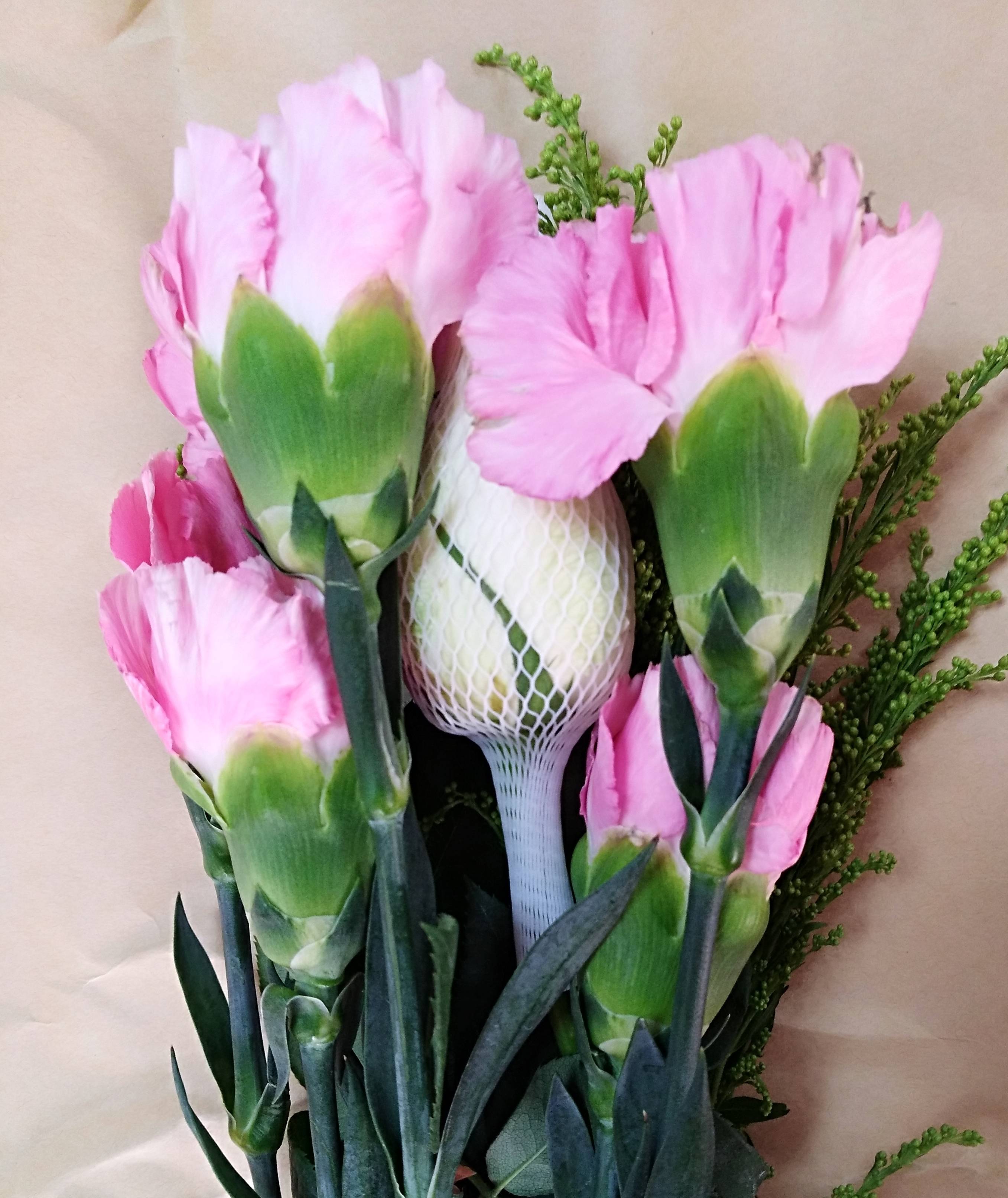 虽然,虽然这大朵大朵的康乃馨收的有些辣眼,毕竟,粉色给人的感觉总觉