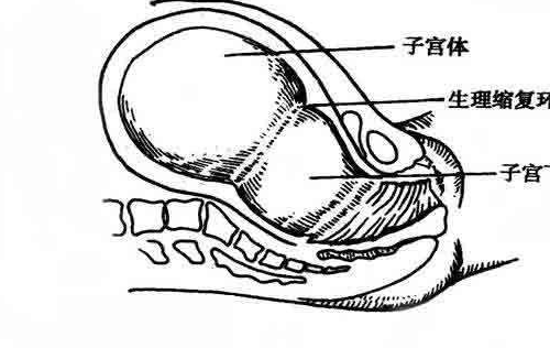 為什麼能生就別剖腹產,順產和剖腹產到底怎麼選擇,原因是這個_剖宮產