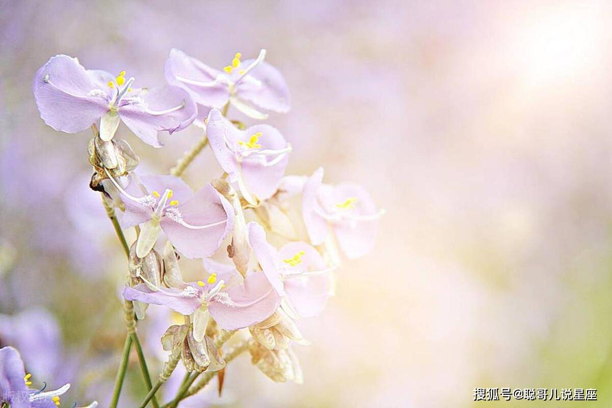 性格孤傲清冷,生人勿近的星座_情感_独立_显得