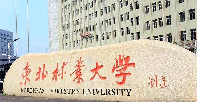 東北林業大學在哈爾濱,是黑龍江省唯一一所2023年直屬高校,是國家211