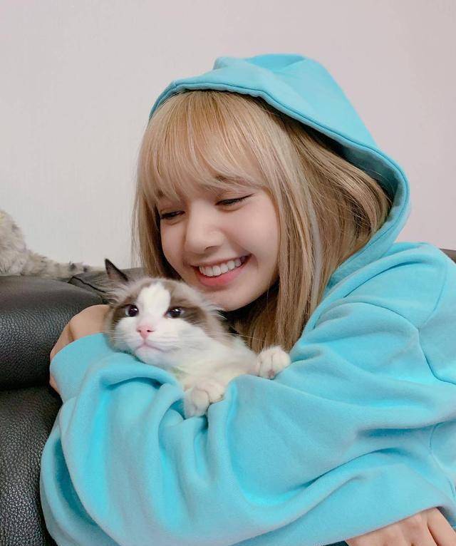 blackpink如今在韩国地区是与twice竞争"韩国第一女团