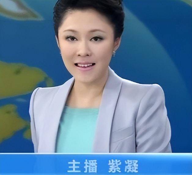 央视主播紫凝:生活节俭,贷款买车,43岁单身生活质量高_父母_因为_祝思