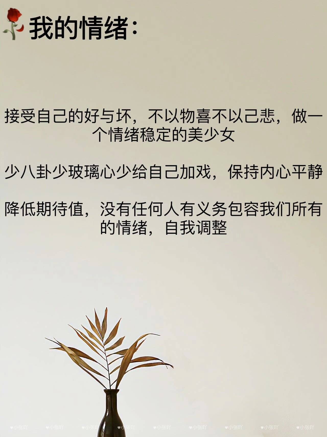 多关注自己的内心