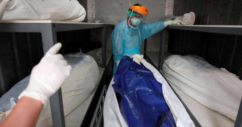 搬运_工作_弗兰普顿