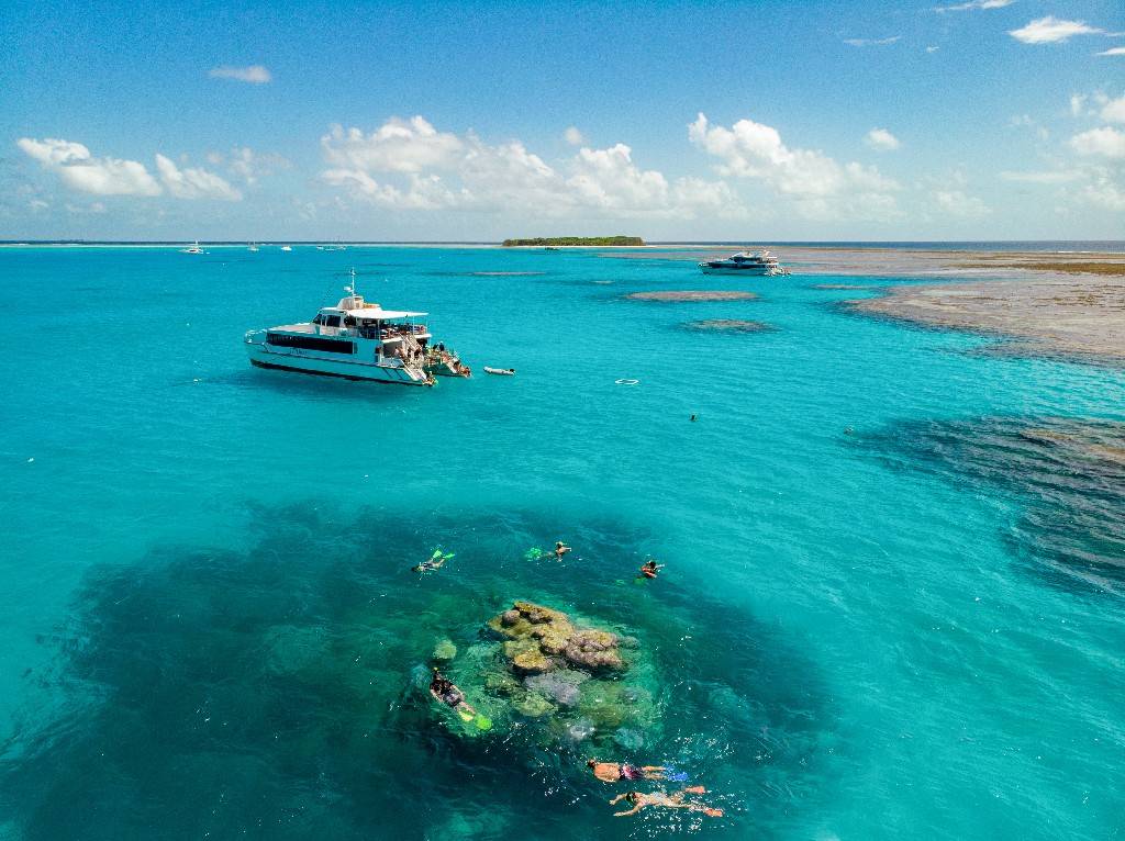 海洋生物學家為你揭曉_珊瑚_遊客_island