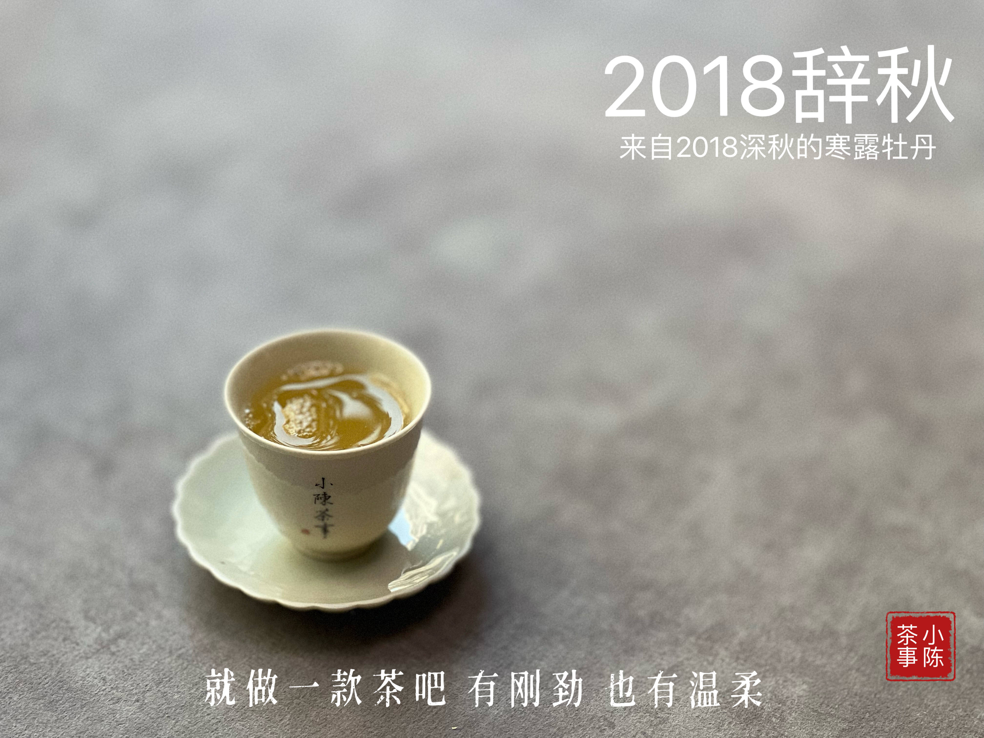 2024年来了,分享3位茶友的经历,新的一年买老白茶记得