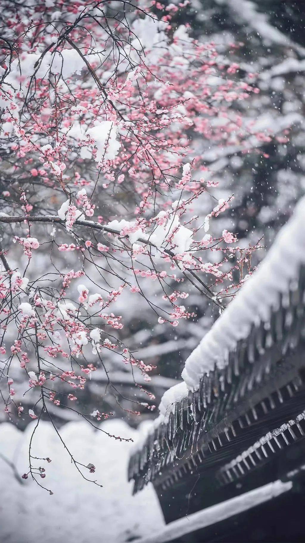 古代下雪图片图片