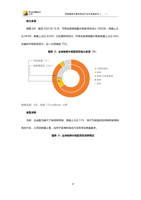 2023勢銀氫能與燃料電池年度藍皮書(附下載)_搜狐汽車